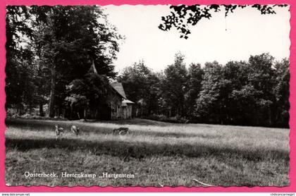 Oosterbeek Hertenkamp - " Hartenstein " - Camp de Cerfs - EMDEEHA