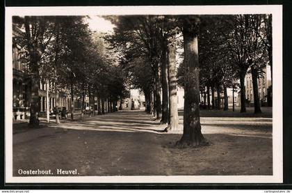 AK Oosterhout, Heuvel