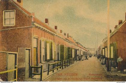 TERNEUZEN      THEINESTRAAT