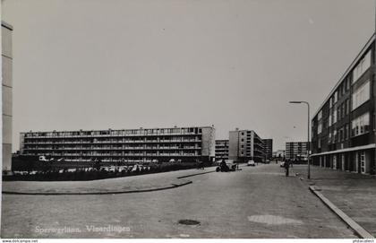 Vlaardingen // Sperwerlaan 1967?