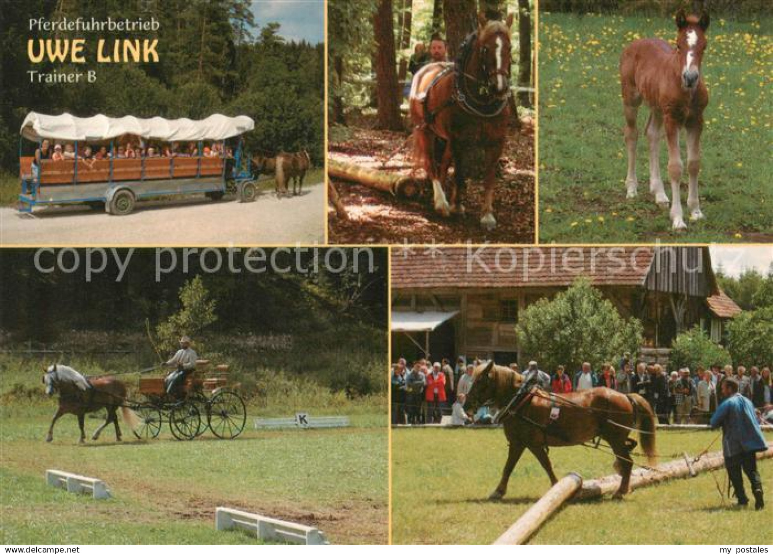 Neufra Hohenzollern Pferdefuhrbetrieb Uwe Link Trainer B Planwagenfahren Holzrue