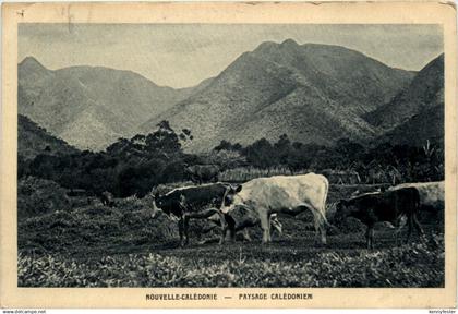 Nouvelle-Caledonie