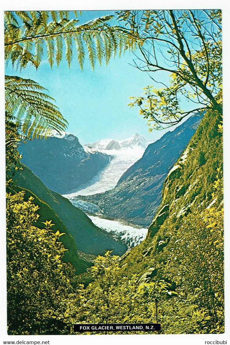 Neuseeland, Fox Glacier, Westland, New Zealand