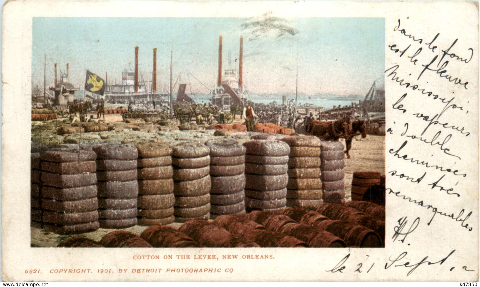 New Orleans - Cotton on the Levee