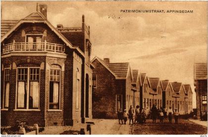 CPA AK APPINGEDAM Patrimoniumstraat NETHERLANDS (604062)