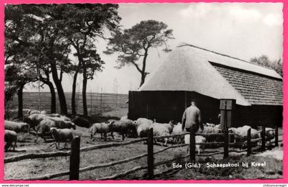 Ede - Schaapskooi bij Kreel - Bergerie - Fermier - Mouton - Moutons - Berger - Edit. SIMONS