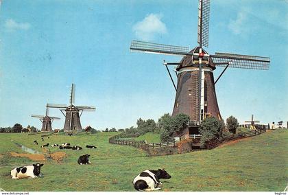 LEIDSCHENDAM       MOULIN