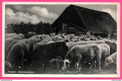 Putten Schaapskooi - Bergerie - Mouton - Uitg. H. SONNENBERG - 1946