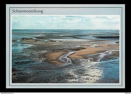 Pays-Bas - Nederland - Schiermonnikoog - Nationaal Park - CPM - Voir Scans Recto-Verso