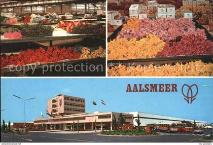 71669235 Aalsmeer Flower Market Aalsmeer