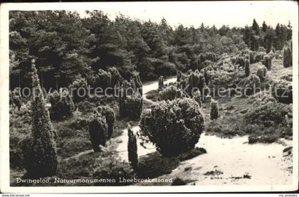 71761129 Dwingeloo Natuurmonumenten Lheebroekerzand Landschaft