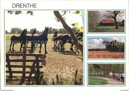 72051249 Drenthe Pferde Bauernhof Landschaft Radfahren