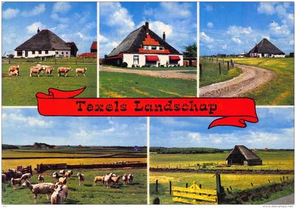 Landschap - Texel