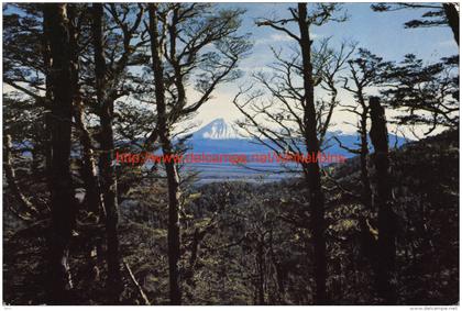 Mount Ngauruhoe - Turangi - New Zealand