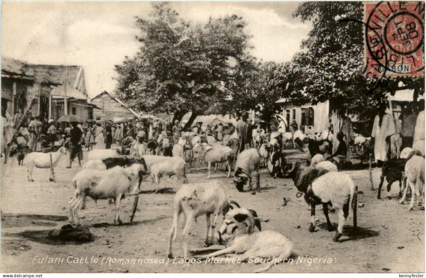 Nigeria - Fulani cattle Lagos Market