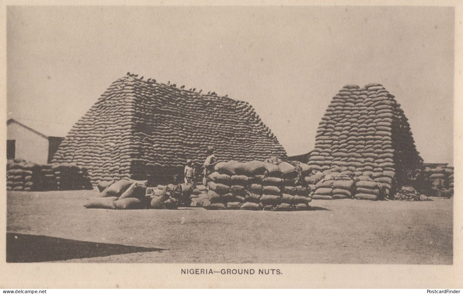 Nigeria Ground Nuts Food Antique African Postcard