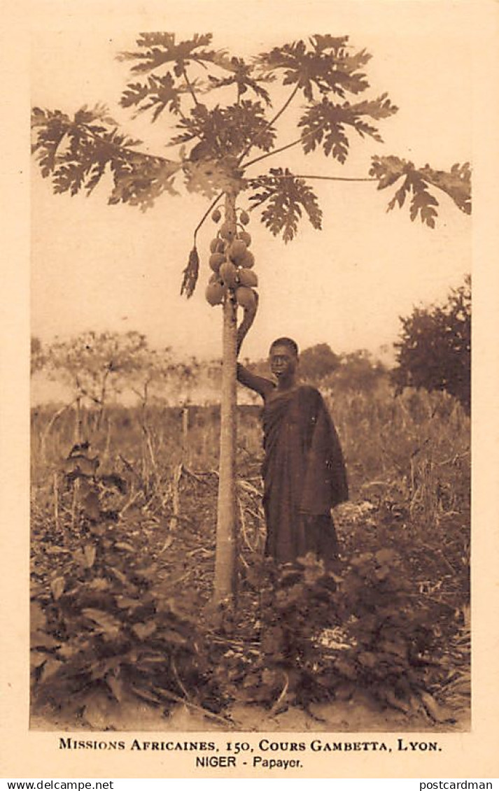 Nigeria - Papaya tree - Publ. African Missions of Lyon (France)