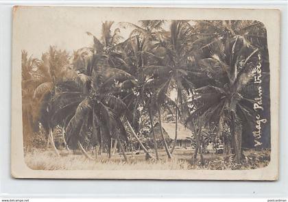 Nigeria - Village Palm Tree - REAL PHOTO - Publ. unknown