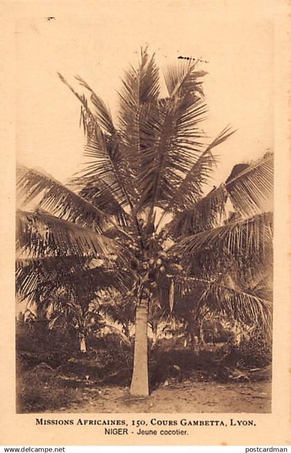 Nigeria - Young coconut tree - Publ. African Missions of Lyon (France)