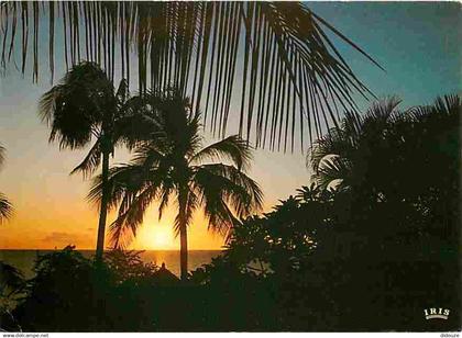 Afrique - Afrique en Couleurs - Coucher de soleil - CPM - Voir Scans Recto-Verso