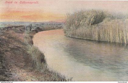 Bend In Schoonspruit South Africa Old Postcard