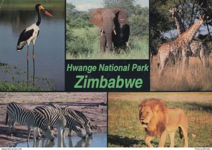 Hwange National Wildlife Park Zimbabwe 1980s Postcard