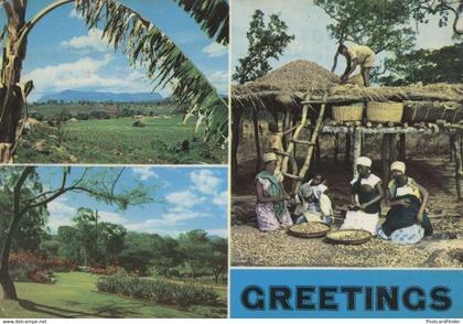 Malawi Tribe African Greetings Postcard