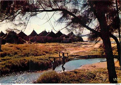 Afrique Noire - Afrique en Couleurs - 4050 - Village africain - CPM - Carte neuve - Voir Scans Recto-Verso