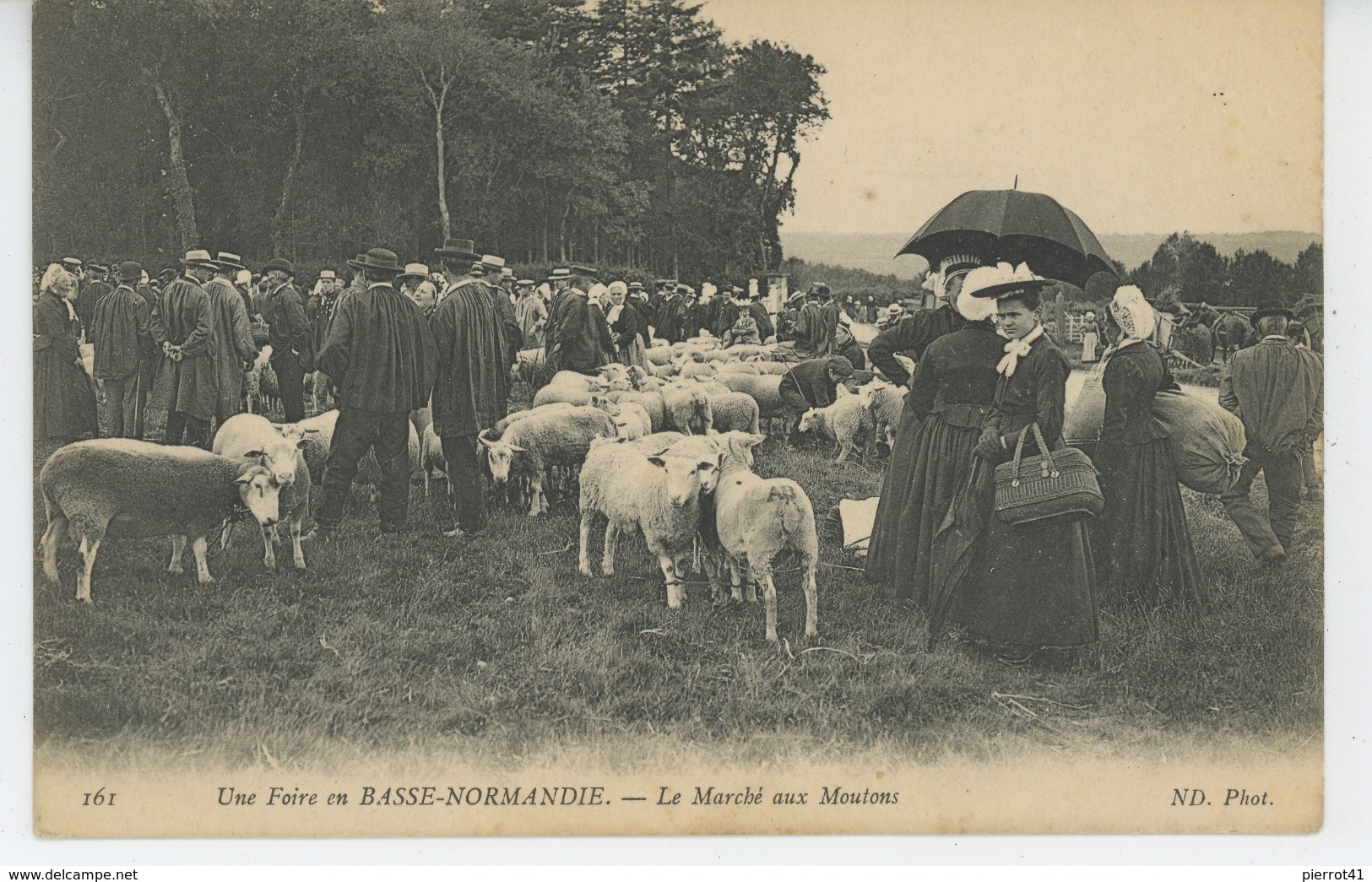 NORMANDIE - Une foire en Basse Normandie - Le Marché aux Moutons