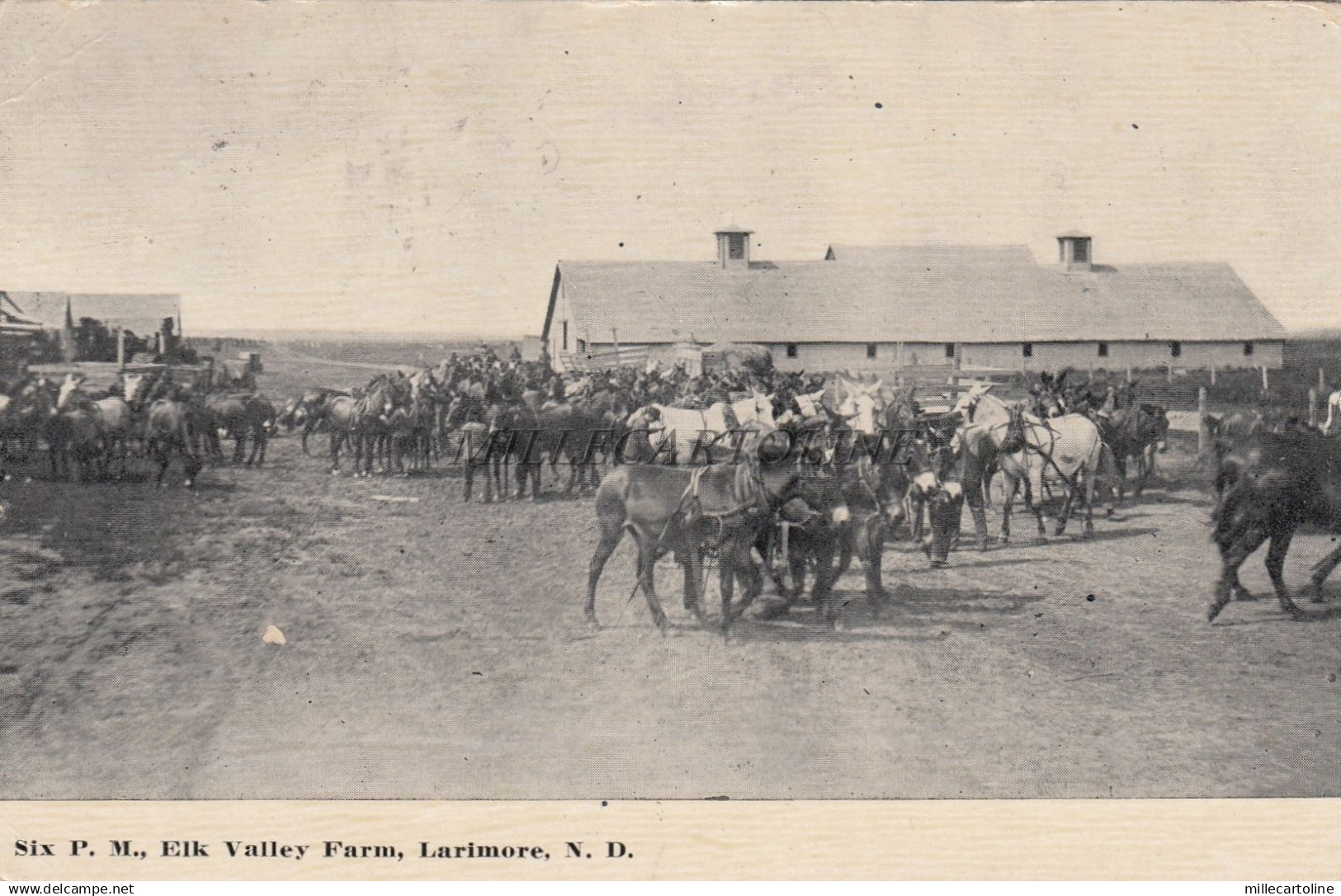 * NORTH DAKOTA - Larimore - Six P.M.Elk Valley Farm 1915