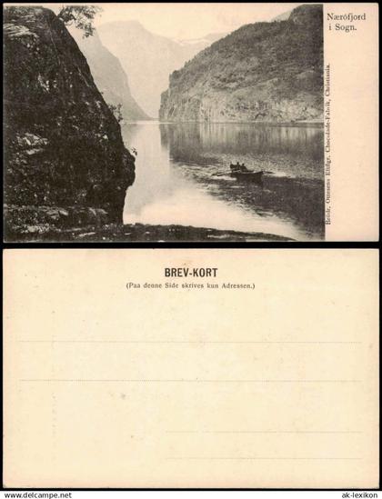 Norwegen Allgemein Nærófjord Sogn Fjord Landschaft Norwegen 1910