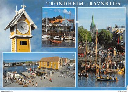 NORVEGE NORG TRONDHEIM RAVNKLOA