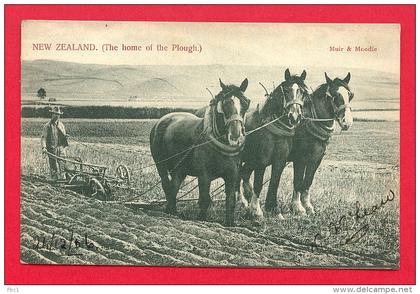 CPA: Nouvelle-Zélande - New Zealand (The home of the Plough)