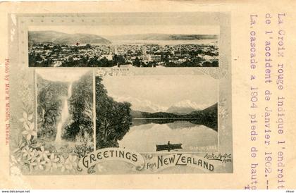 NOUVELLE ZELANDE(DUNEDIN) GRUSS