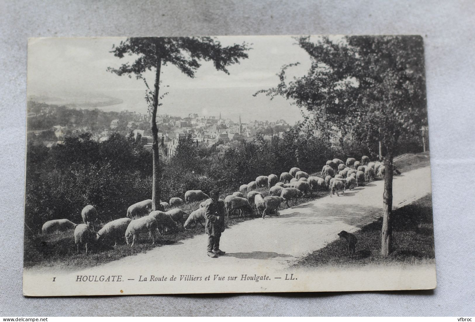 O482, Cpa 1905, Houlgate, la route de Villiers et vue sur Houlgate, Calvados 14