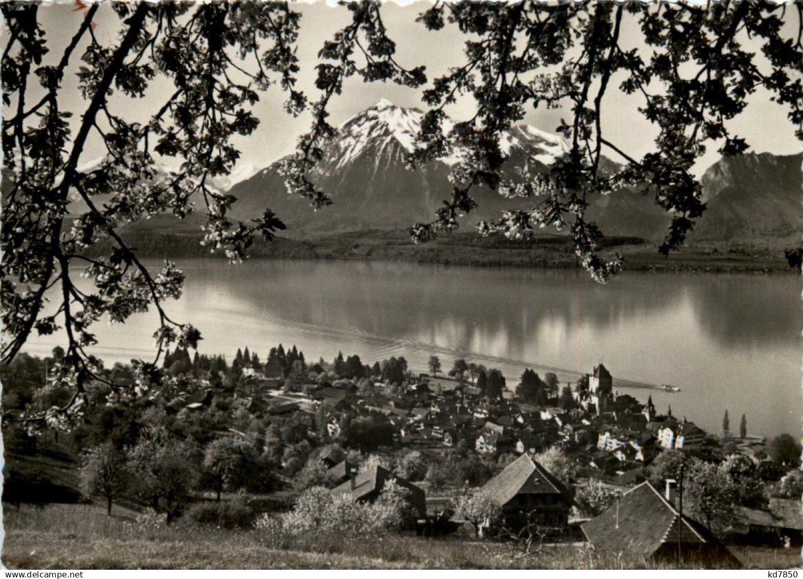 Oberhofen am Thunersee