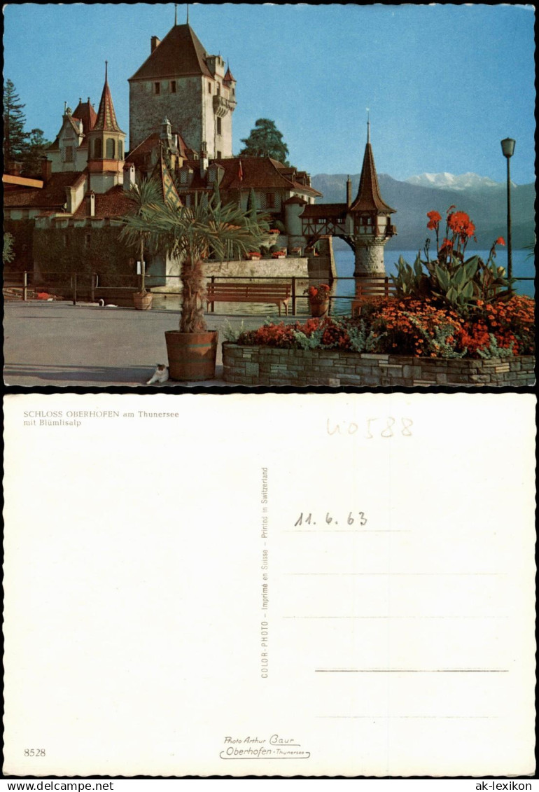 Oberhofen am Thunersee SCHLOSS OBERHOFEN am Thunersee mit Blumlisalp 1970