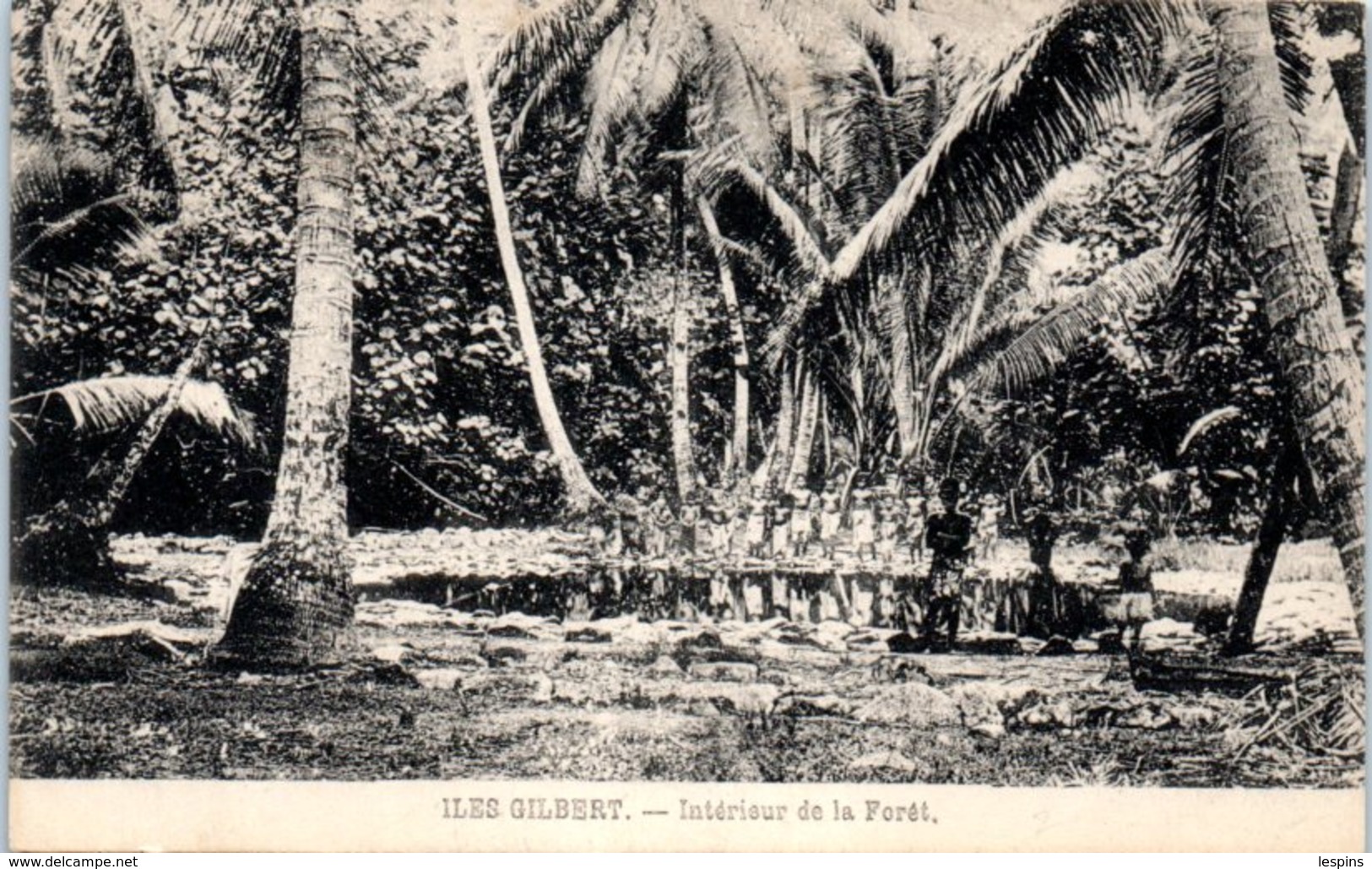 OCEANIE -- KIRIBATI --  Iles gilbert - Intérieur de la Forêt