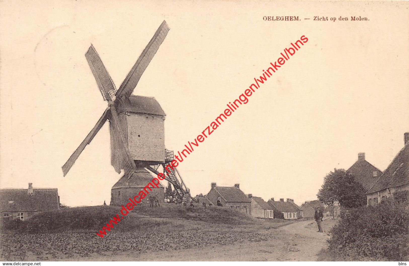 Oeleghem - Zicht op den Molen - Oelegem Ranst