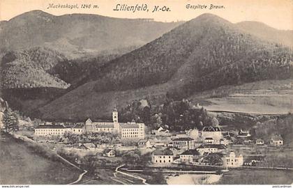 Österreich - Lilienfeld (NÖ) Totalansicht - Mickenkogel - Gespitzte Braun