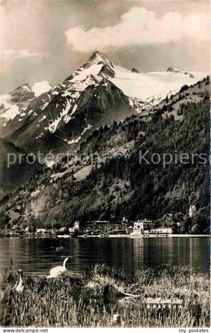 72739100 Zell See Panorama Zell am See