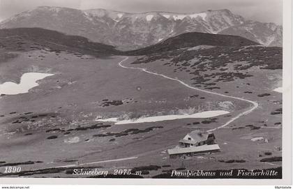 AUTRICHE CARTE POSTALE DE SCHNEEBERG DAMBÖCKHAUS UND FISCHERHÜLLE