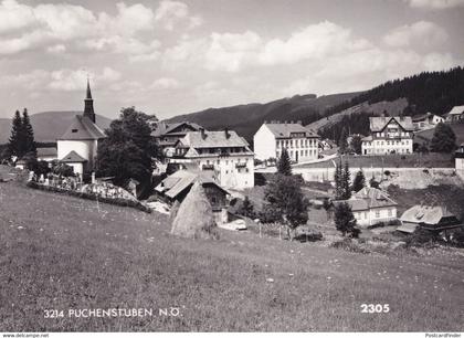 Puchenstuben Scheibbs Lower Austria Real Photo Postcard