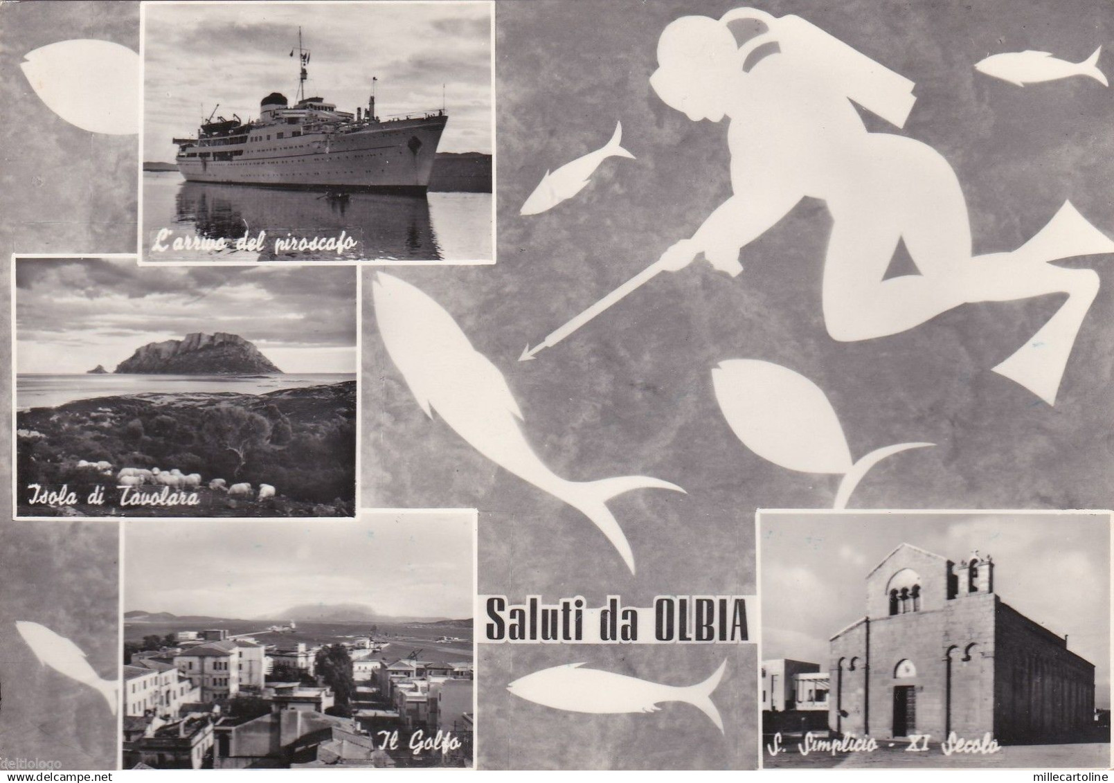 # OLBIA: SALUTI DA