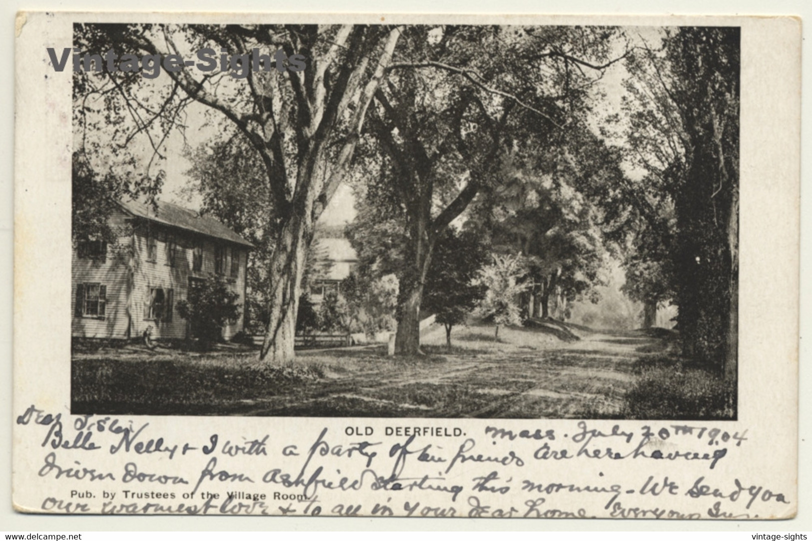 Old Deerfield / USA: Street Scene - Trees (Vintage PC 1904)