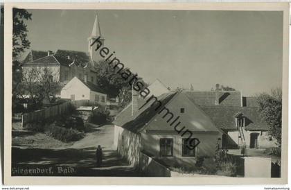 Siegendorf - Burgenland - Foto-Ansichtskarte