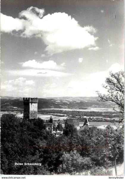 Ruine Schaunberg