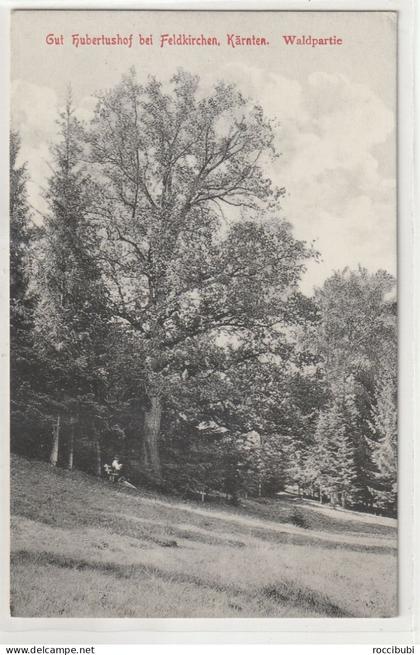 Gut Hubertushof bei Feldkirchen in Kärnten, Waldpartie