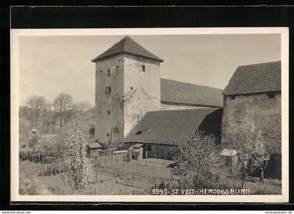 AK St. Veit an der Glan, Herzogsburg mit Garten