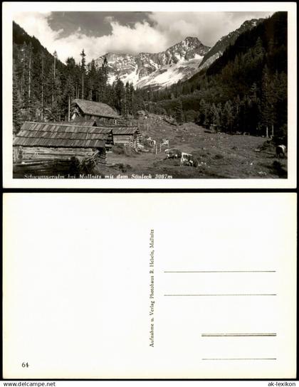 Ansichtskarte Mallnitz Schwussneralm bei Mallnitz mit dem Säuleck 1950